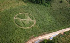 Monsanto accusata di economia killer in oriente